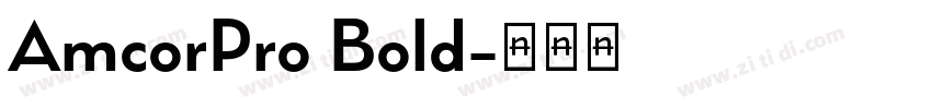 AmcorPro Bold字体转换